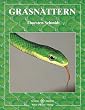 Grasnattern