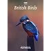 DVD Guide to British Birds
