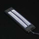 12 Volts Attractive White LED Roadster Coupe Turbo Racing Car SUV Truck Air Hood... by Astra Security