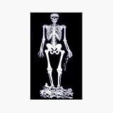 Outdoor Living : Pirate Flag - Skeleton