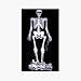 Pirate Flag - Skeleton