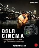 DSLR cinema : crafting the film look with large sensor video