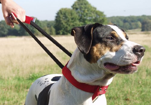 Karlie 01691 Dog Control Halsband Basic Linie 30 mm x 61-71 cm Gr&ouml;sse XL, rot Preisvergleich