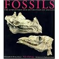 Fossils (The Evolution and Extinction of Species) (Reprint) (Paperback)