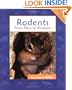 Rodents (Animals in Order)
