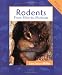 Rodents: From Mice to Muskrats (Animals in Order)
