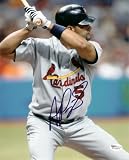 Albert Pujols Autographed St. Louis Cardinals 8x10 Action Photo