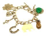Lady's Themed Chunky Brown Jacket, Dress, Cell Phone, Laptop & Purses Charm Bracelet Gold Tone (AB085LF)