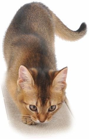 Petio Both side Cat Scratch Board 3 Packs (1 Set)