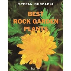 Best Rock Garden Plants