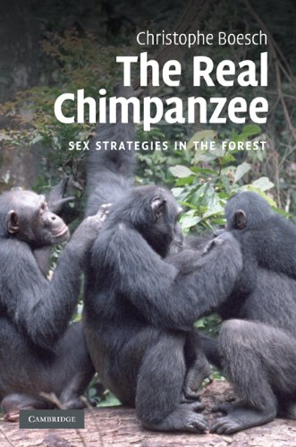 The Real Chimpanzee: Sex Strategies in the Forest