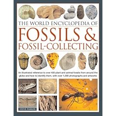 The World Encyclopedia of Fossils and Fossil Collecting: An Illustrated Reference to Over 400 Plant and Animal Fossils from Around the Globe and How ... Them, with Over 1000 Photographs and Artworks