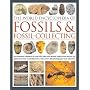 The World Encyclopedia of Fossils and Fossil Collecting: An Illustrated Reference to Over 400 Plant and Animal Fossils from Around the Globe and How ... Them, with Over 1000 Photographs and Artworks