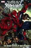 Avenging Spider-Man: My Friends Can Beat Up Your Friends
