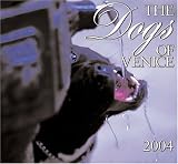 The Dogs of Venice