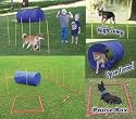 Kyjen Dog-Agility Starter Kit