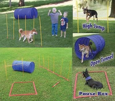 Kyjen Dog Agility Starter Kit