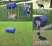 Kyjen Dog Agility Starter Kit