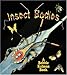 Insect Bodies (World of Insects)