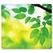 Fellowes Recycled Mouse Pad Nonskid Base 7-1/2 x 9 Leaves &easy to clean Nonskid base