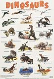 Books : Dinosaurs (Laminated Posters)