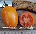 Tomatensorte => Orange Plum (Samen)