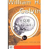 how brains think evolving intelligence then and now science masters series