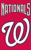 Washington Nationals 2-Sided Applique Banner Flag