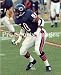 Mike Singletary Chicago Bears 8x10 Photo