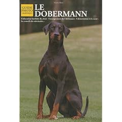 Le Dobermann