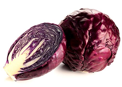 Red Acre Cabbage 4 Plants - Easy to Grow, Great Taste Red Acre Cabbage 4 Plants - Easy to Grow, Great Taste
