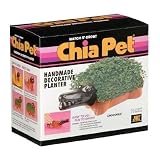 Chia Pet Handmade Decorative Planter- Crocodile
