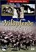 Wildpferde im Merfelder Bruch