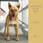Australian Kelpies 2001 Calendar