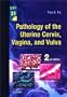 Pathology of the Uterine Cervix, Vagina and Vulva