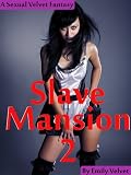 Slave Mansion 2 (Erotic Stories of Sexual Domination and Submission)