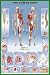 Human Body Education Poster Print, 24x36
