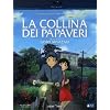 La Collina Dei Papaveri