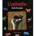 L'autruche : As de la course