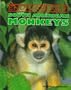 South American Monkeys (Endangered!)
