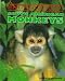 South American Monkeys (Endangered)