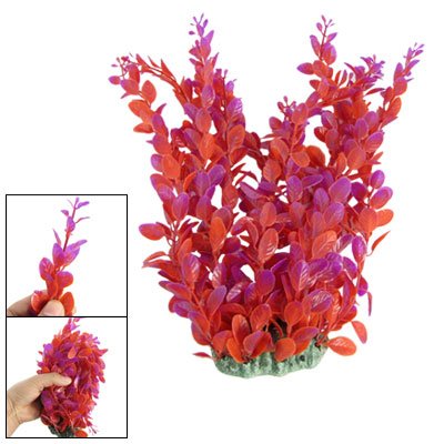 Image #1 of Red Purple Standing