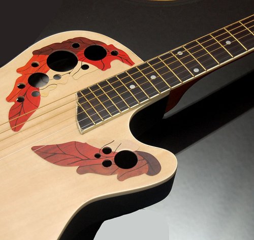 Roundback Akustik Gitarre im CUTAWAY Design mit Blumenmotiv