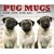 Pug Mugs 2009 Calendar