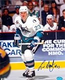 Link Gaetz Autographed/Hand Signed 8x10 Photo (San Jose Sharks) Image 2
