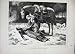 1870 Dead Soldier Horse War Army Trees Antique Print