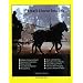 Draft Horse Images