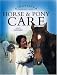 Horse and Pony Care (Kingfisher Riding Club)