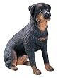 Rottweiler Figurine - Cold Cast Resin - 3.5'' Height