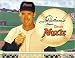Baseball Ted Williams Metal Tin Sign Moxie Nostalgic 71